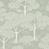 Woodland notes Sage Green - Wallpaper